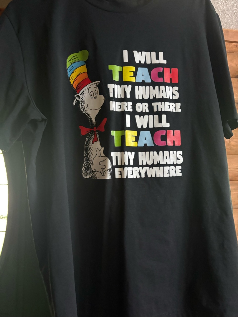 I Will Teach Tiny Humans Black Teacher Graphic Tee